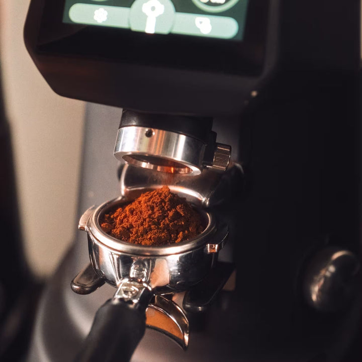 Arabica czy Robusta? Wielkie starcie gatunków kawy - co wybrać?